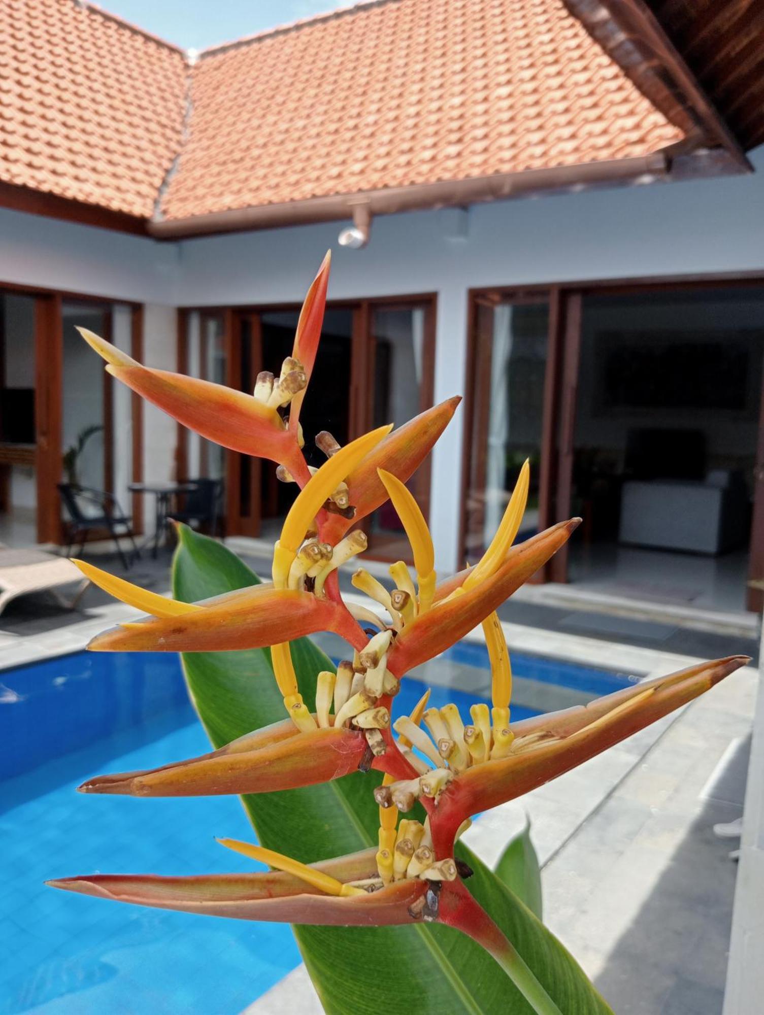 Pondok Indah Villa Ujung Kültér fotó